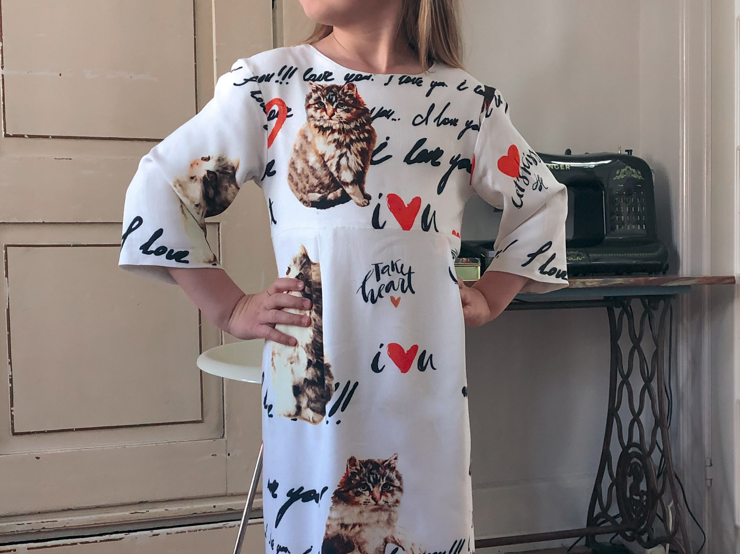 Anthropologie cat shop dress